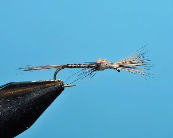 Gray Searching Emerger
