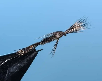 Natural Searching Emerger