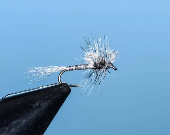 Gray Mountain Emerger
