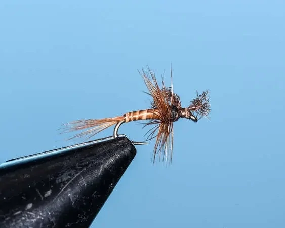 Brown Hatching Emerger
