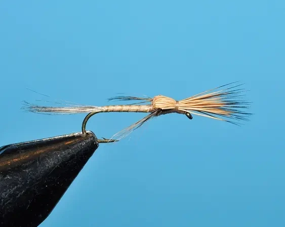 Tan Searching Emerger