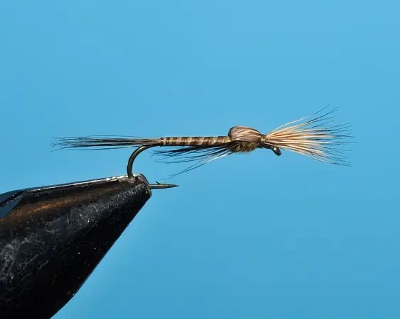 Olive Brown Searching Emerger