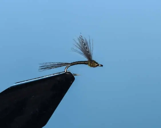 BWO Thread-Body Comparadun