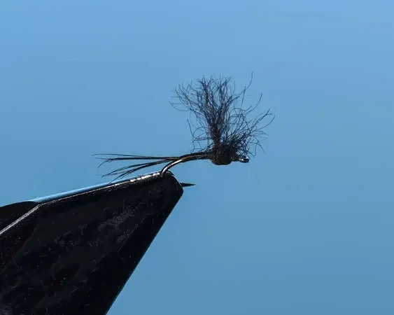 BWO Convertible (Thread Body)