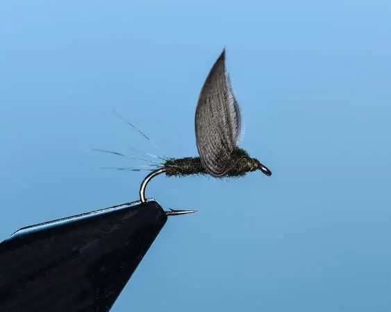 Baetis No Hackle