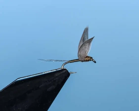 BWO No Hackle