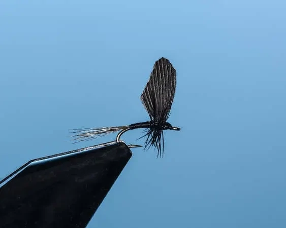 Trico Black Thread Body Single Upright Wing