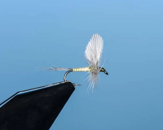 Mayfly PMD Single Upright Wing SP