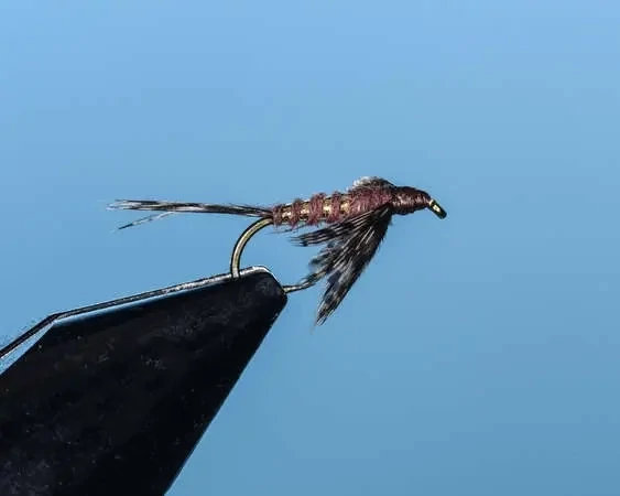 Brown Soft Hackle