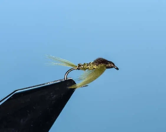Olive Soft Hackle