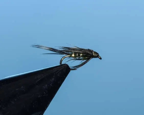 Baetis Soft Hackle
