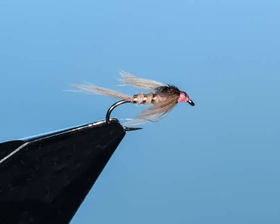 Pink Soft Hackle