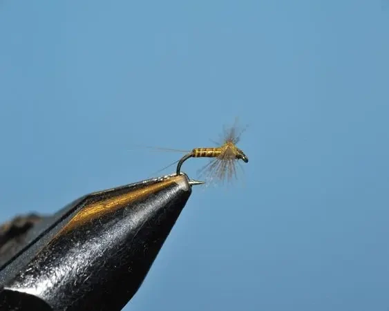 BWO Spinner