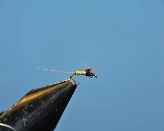 Trico Black & Green (Female) Spinner - Utah - Dry Fly Innovations