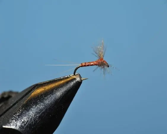 Rusty Spinner
