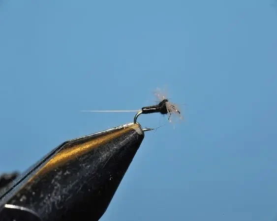 Trico Chocolate (Male) Spinner