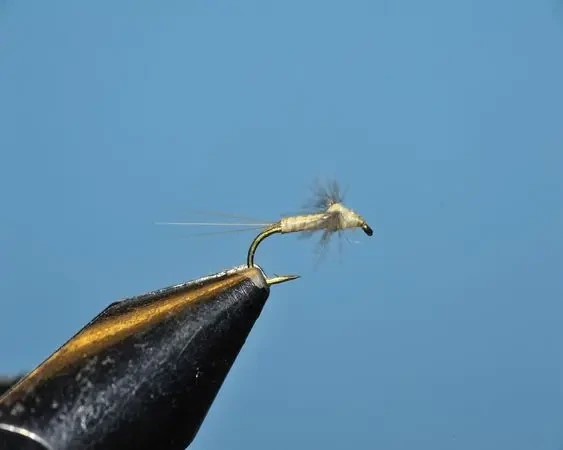 PMD Spinner