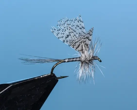 Gray Hun Mayfly