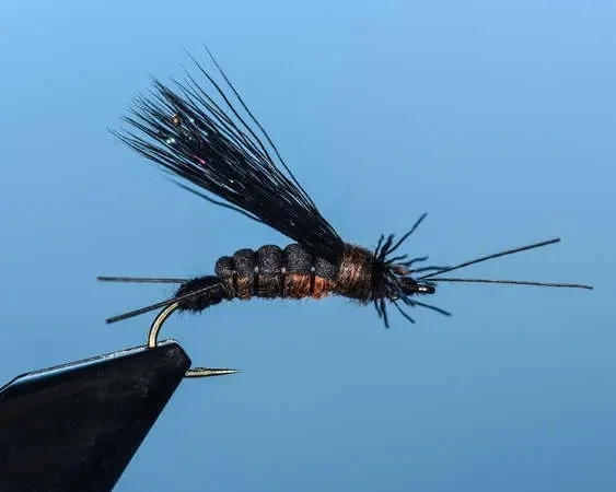 Brown Slow Stone