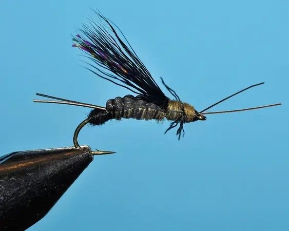 Olive Slow Stone