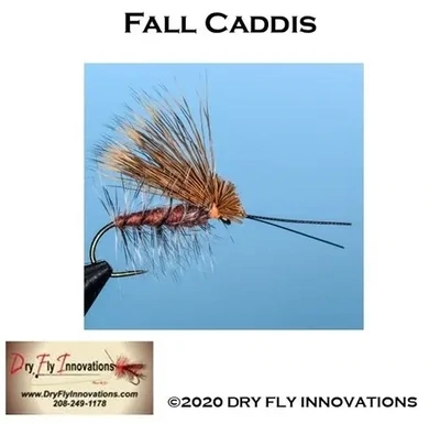 Caddis - Fall Caddis Tie