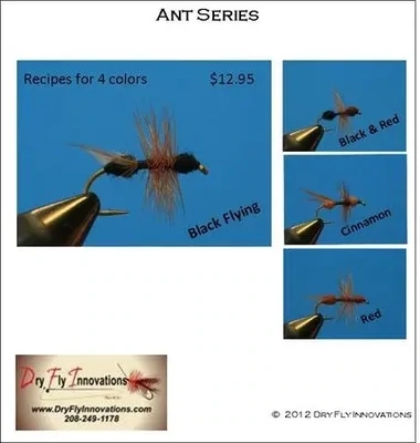 Terrestrials - Ant Series