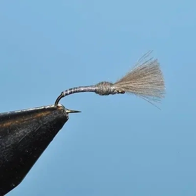 Gray Colored Emerger