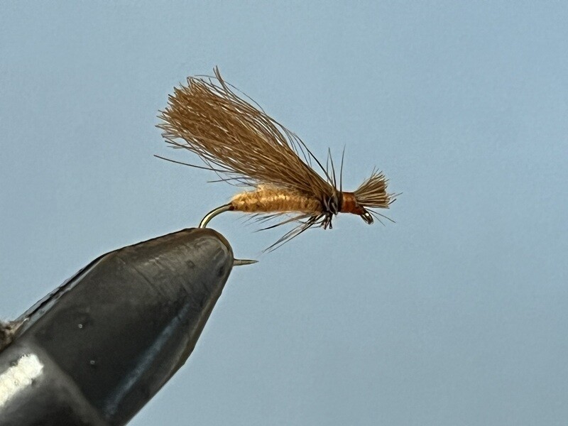 Big-Ass Caddis - SP