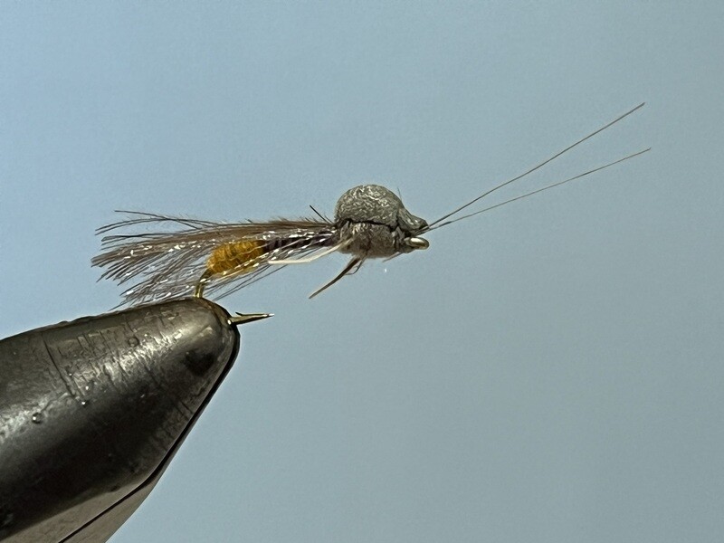 Butt Caddis - SP