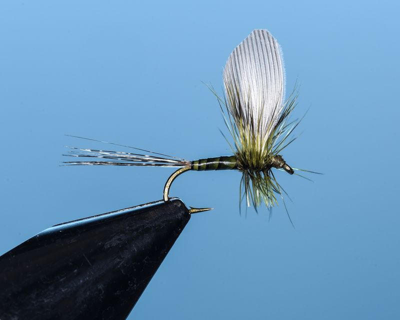 Baetis Single Upright Wing - SP