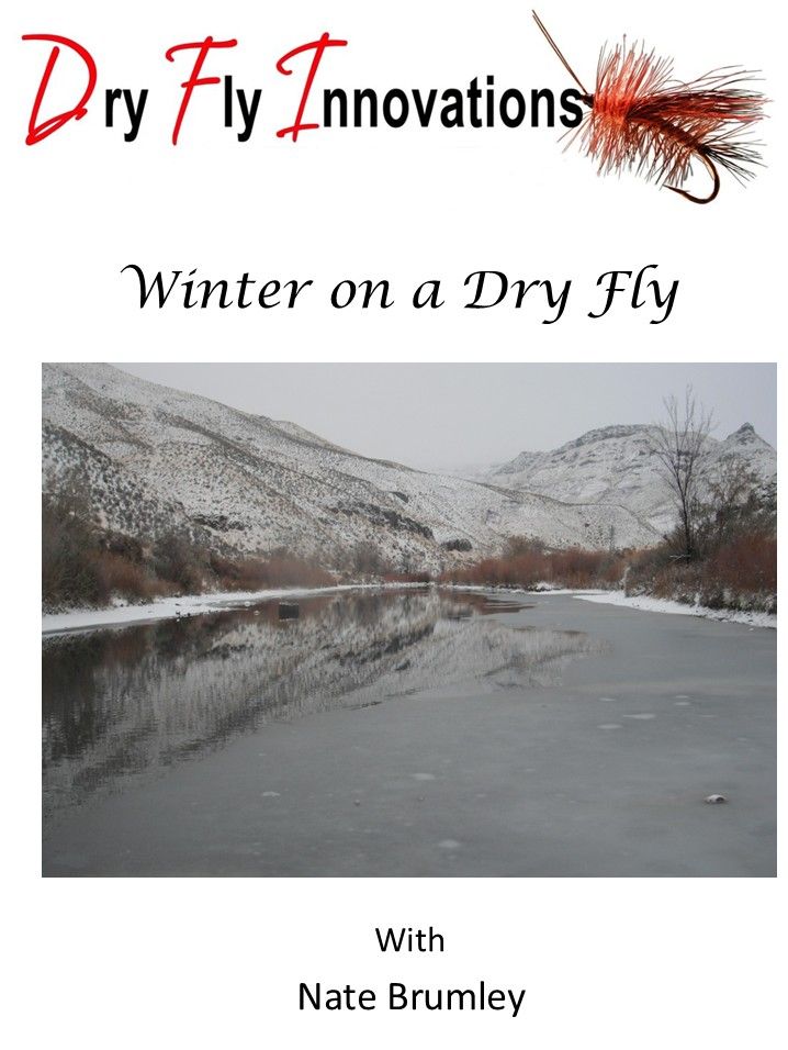 Winter on a Dry Fly DVD