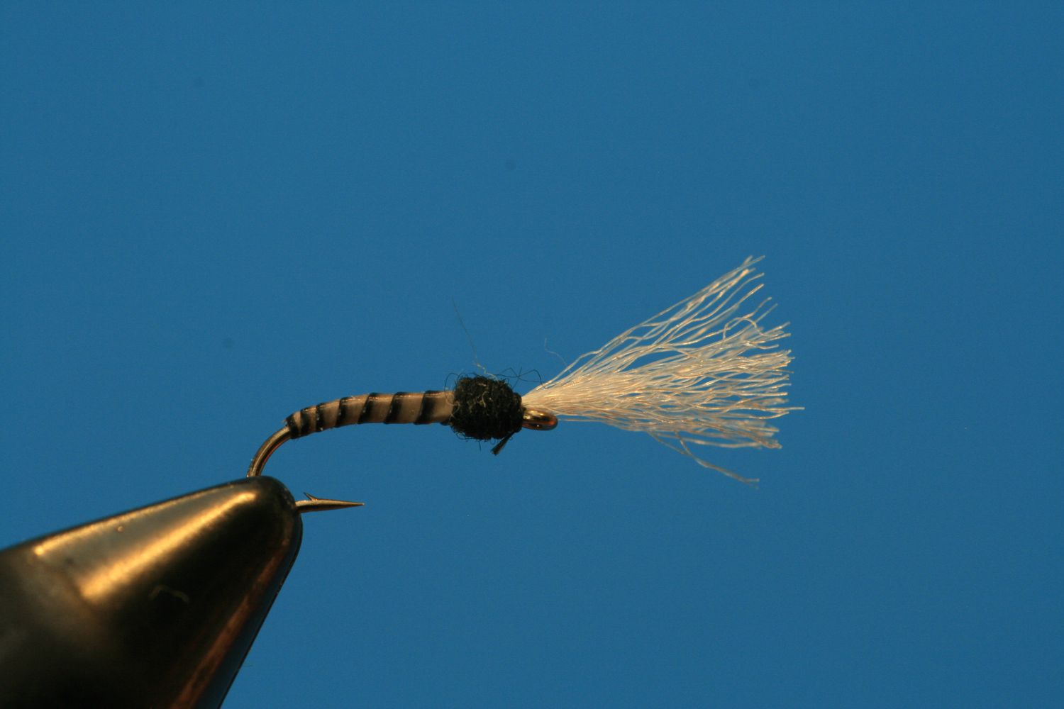 Black with White Wing Colored Emerger