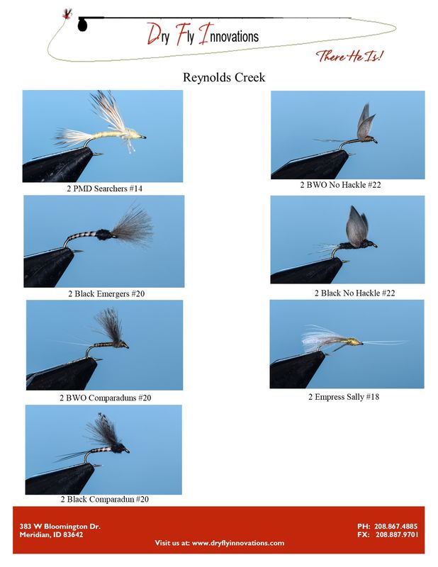 Reynolds Creek Pack