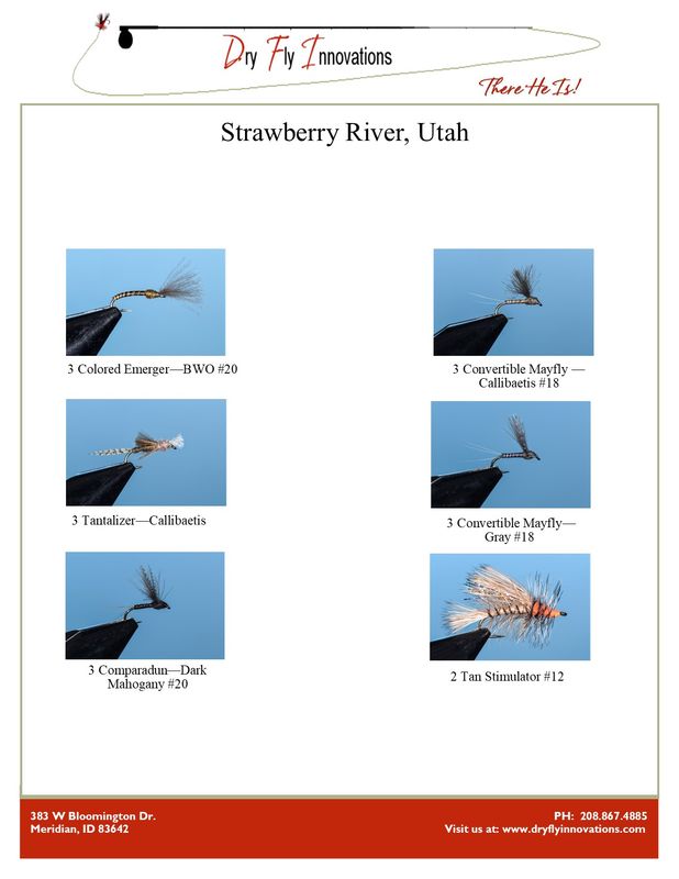 Strawberry River