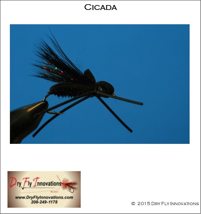 Terrestrials - Cicada Tie Digital