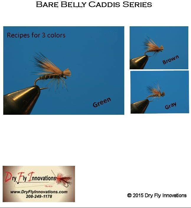 Caddis - Bare Belly Series Digital