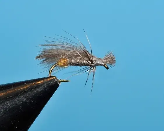 Green River Caddis