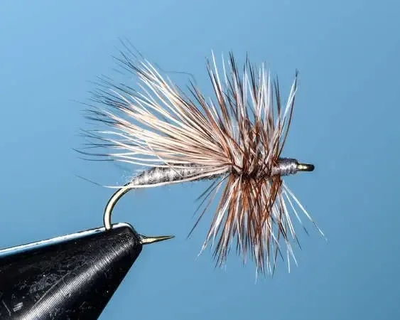 Gray Adams Caddis