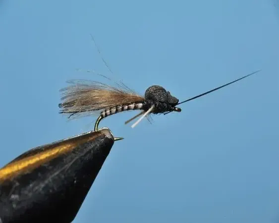 Caddis Meathead Caddis - SP