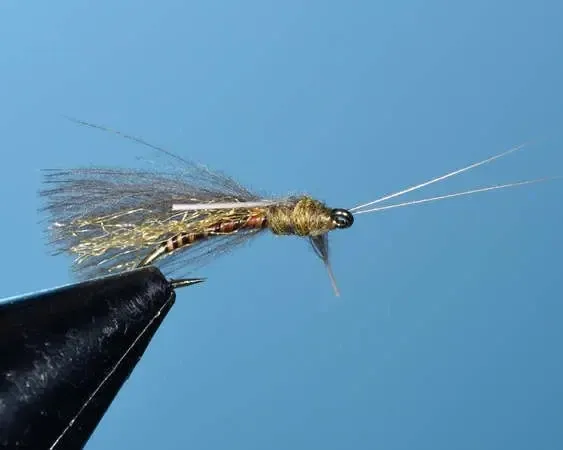 Olive Brown Emperor Caddis