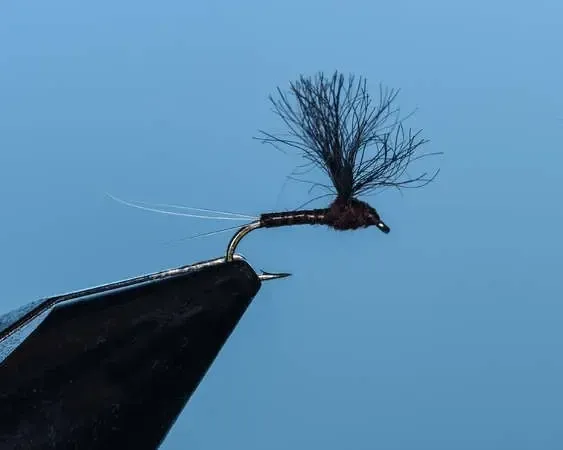 Mahogany (Dark) Convertible