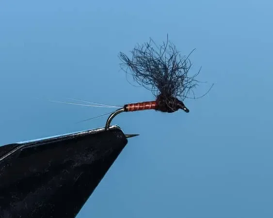 Light Mahogany Convertible