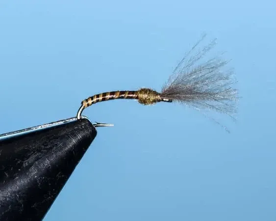 Blue Wing Olive Colored Emerger