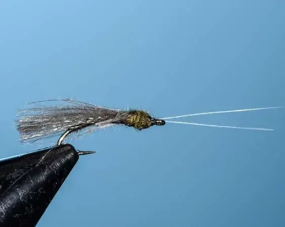 Baetis Green Emperor Caddis
