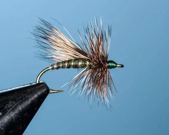 Green Adams Caddis