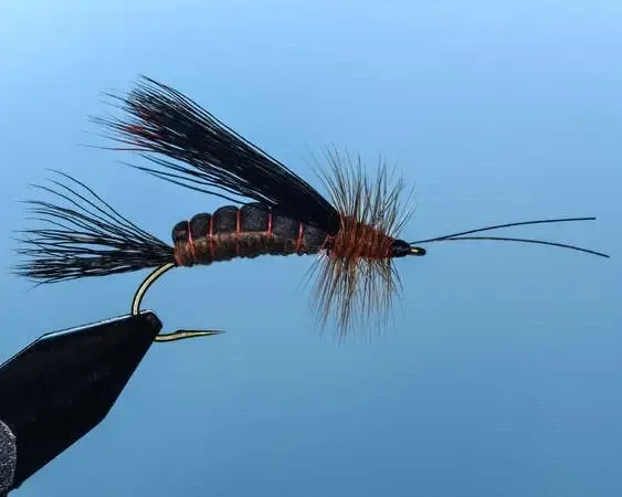 Salmon Fly