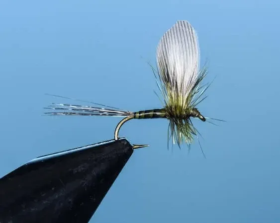 Mayfly Baetis Single Upright Wing - SP