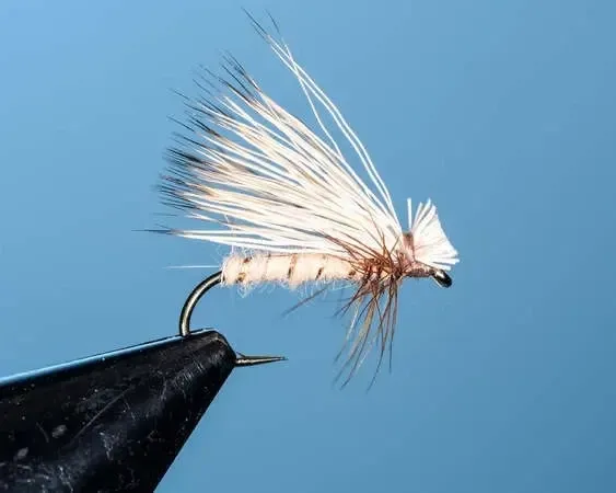 Tan Get Her Done Caddis