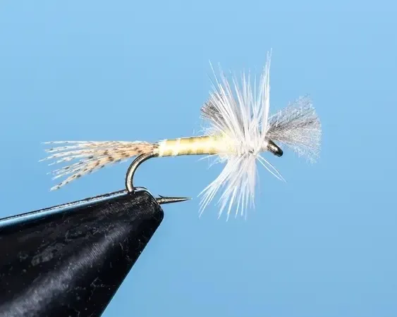 PMD Hoagie's Cripple