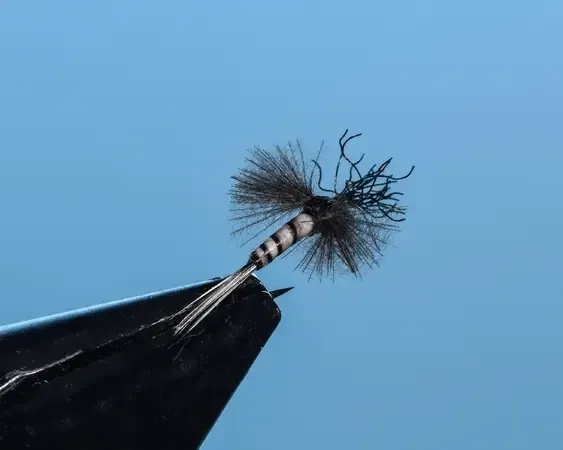 Hoagie's Spent Midge